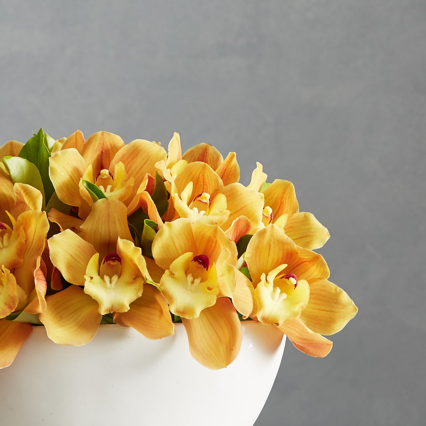 Cymbidium Bowl