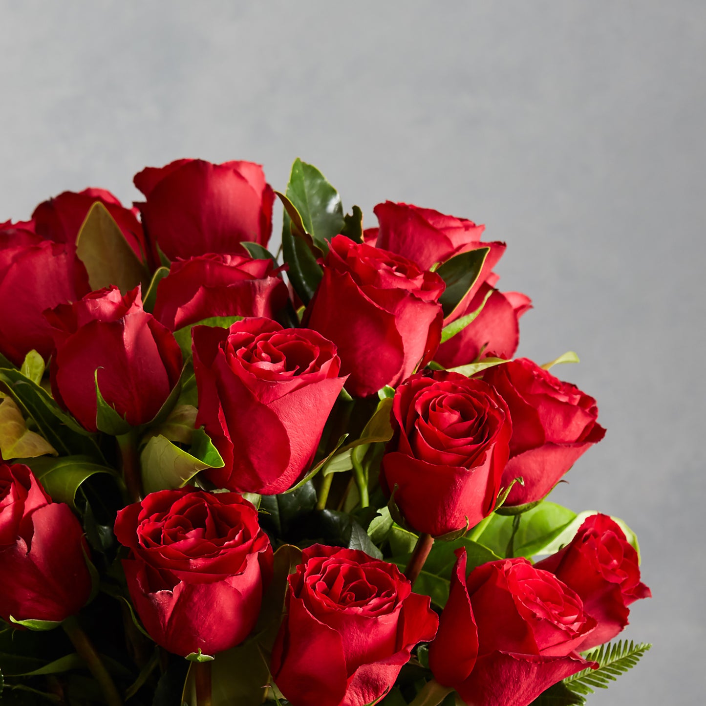 Red Rose Vase