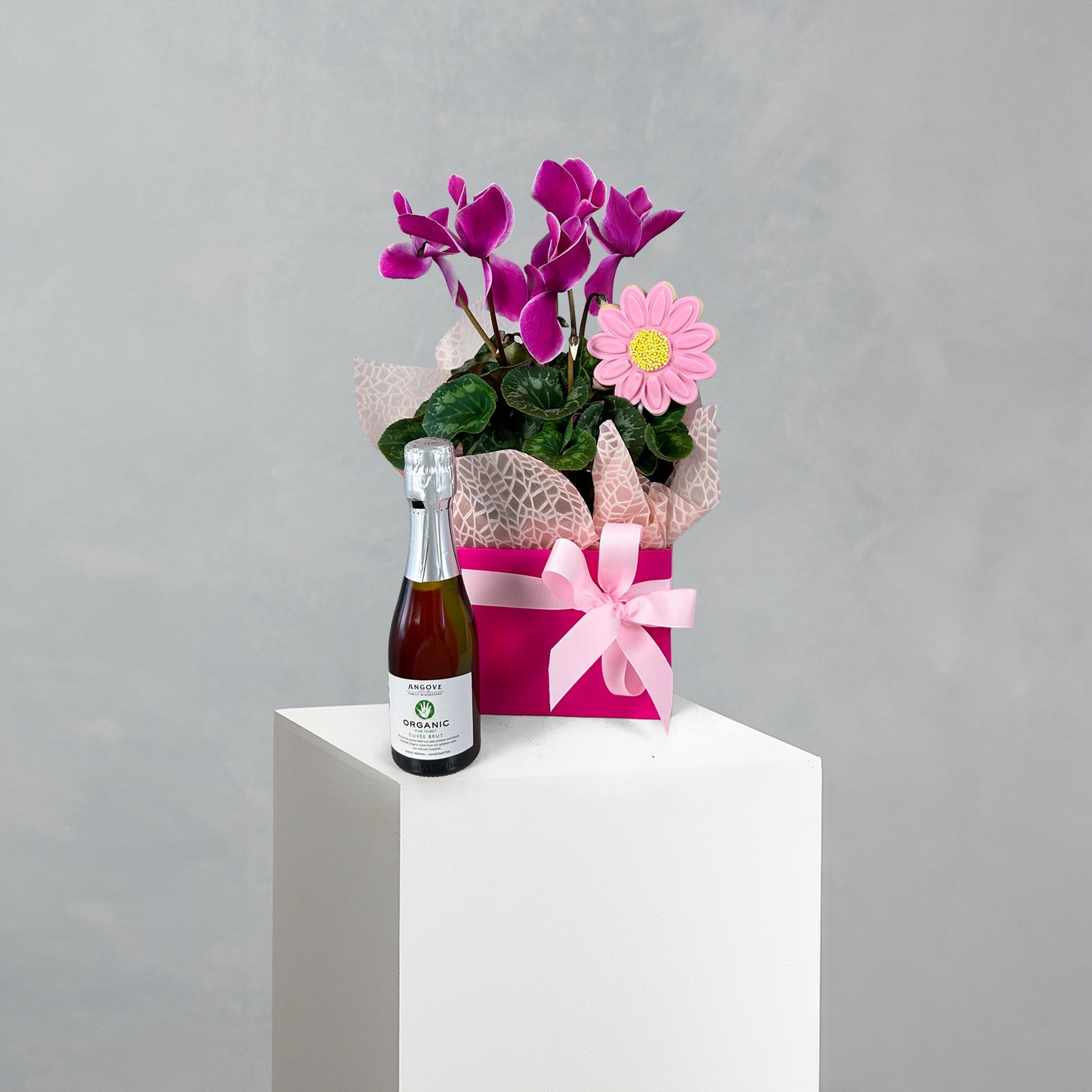 Cyclamen Gift Pack