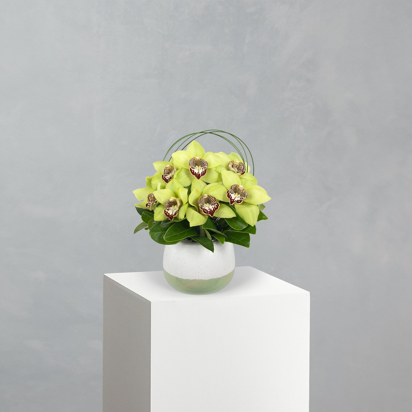 Cymbidium Bowl