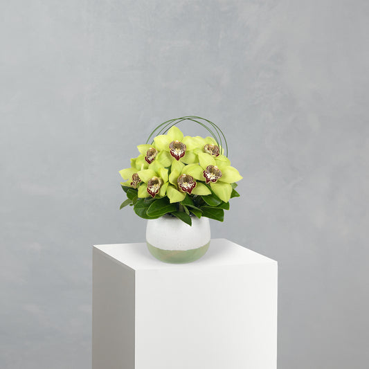 Cymbidium Bowl
