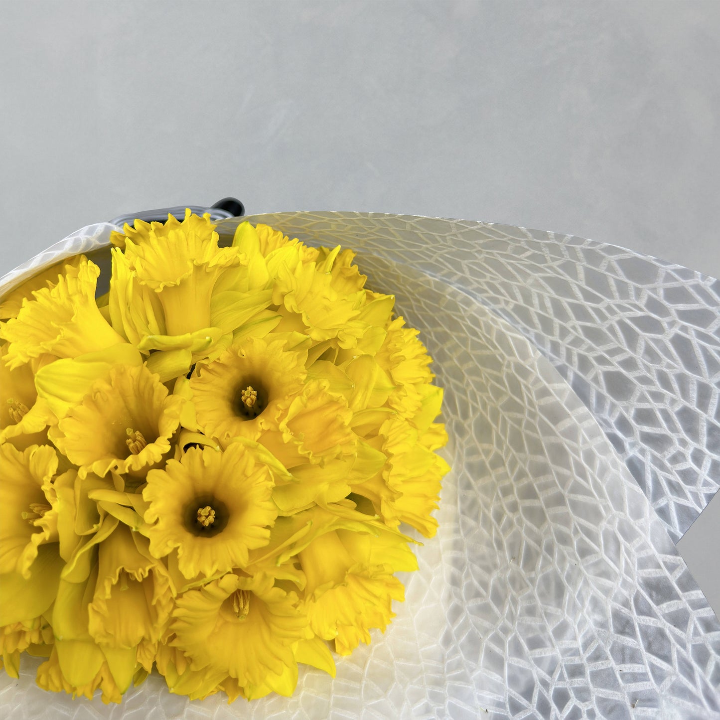 Daffodils