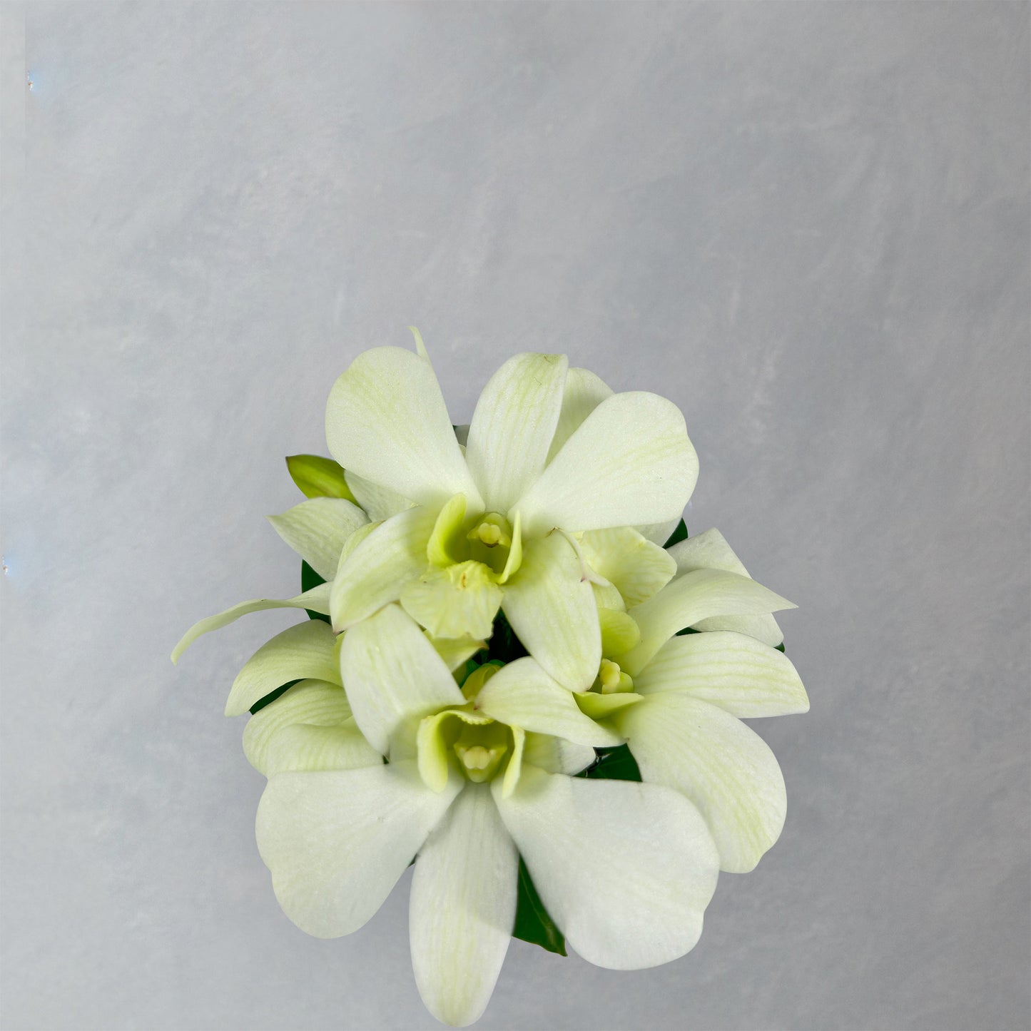 Orchid Wrist Corsage