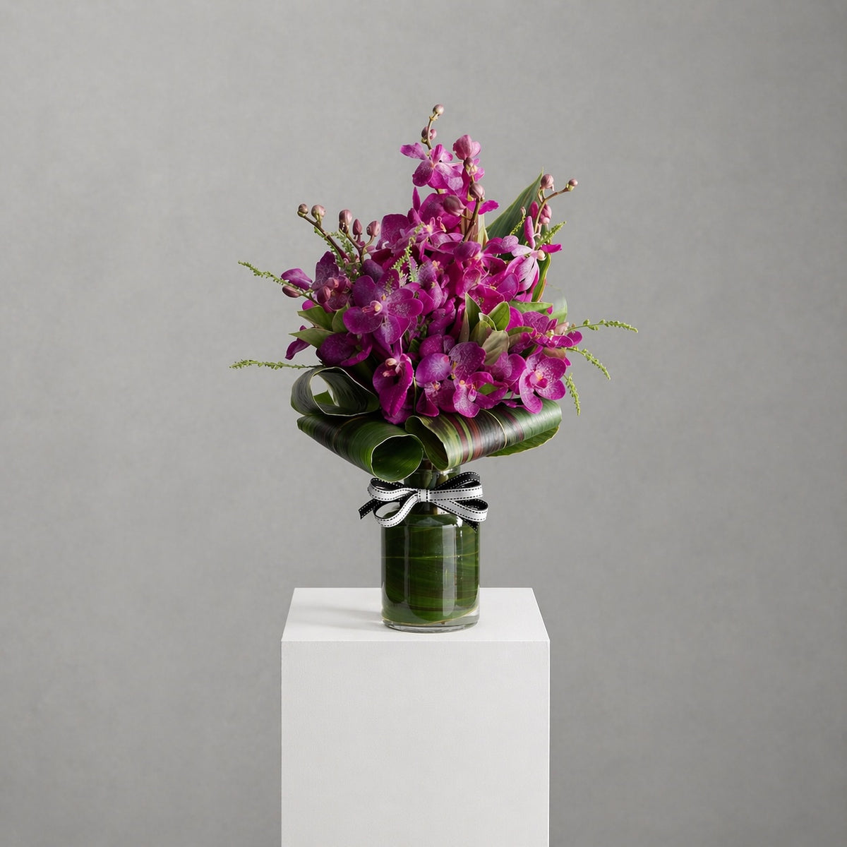 Mokara Orchids