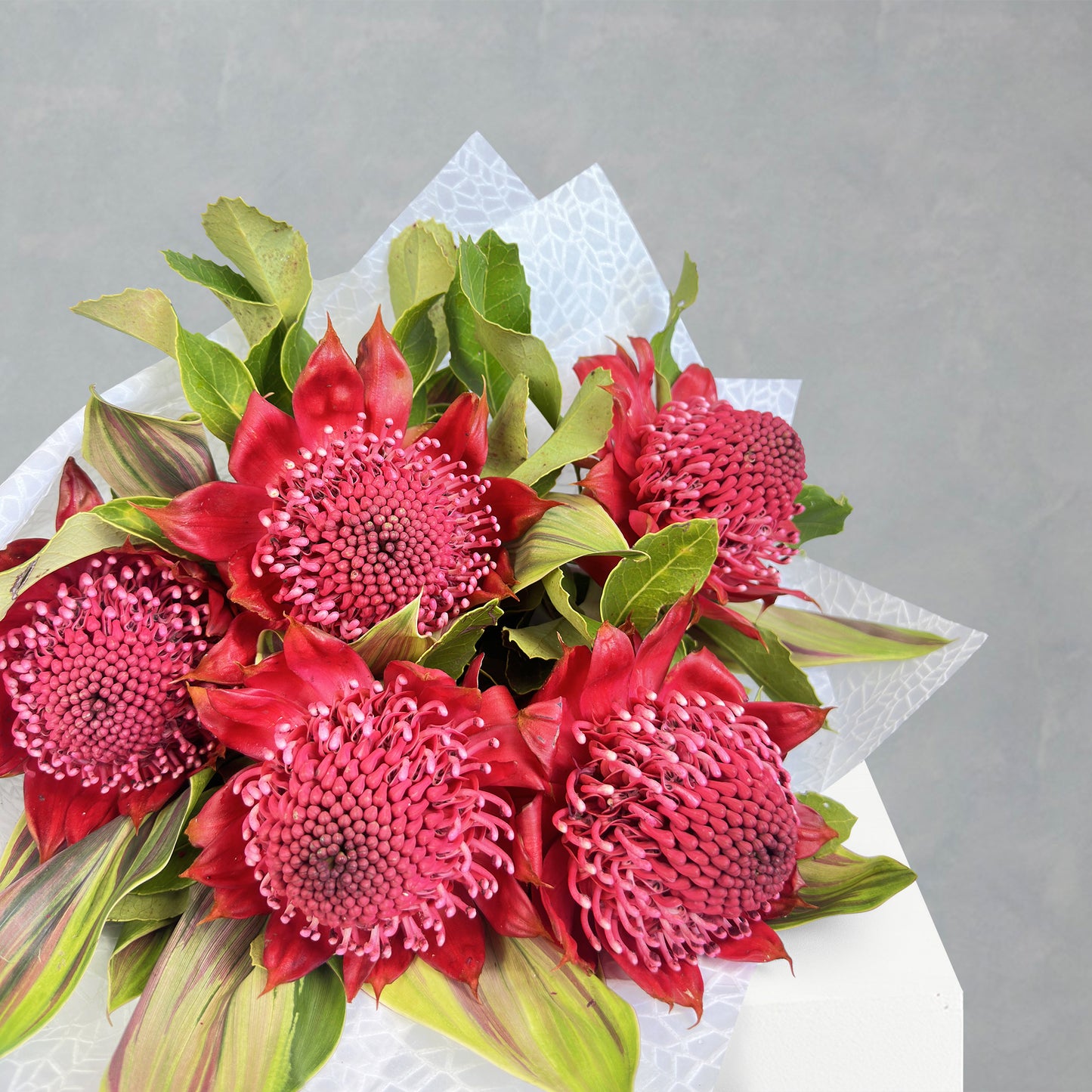 Waratahs