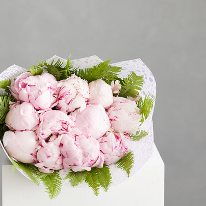 Dutch Peonies Roses
