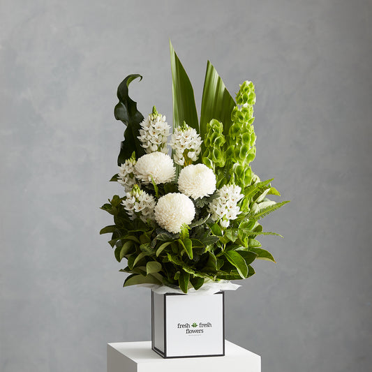 Modern Box Design
