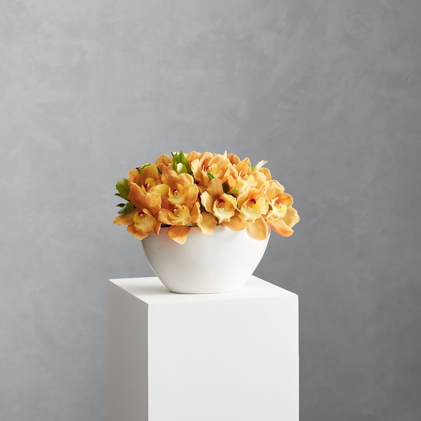 Cymbidium Bowl