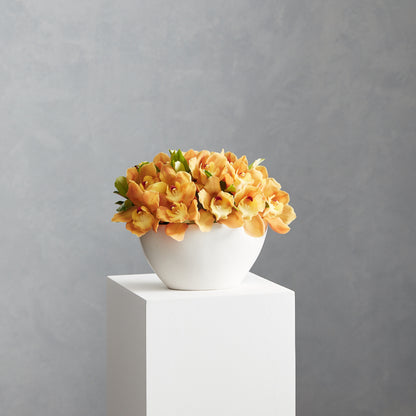 Cymbidium Bowl