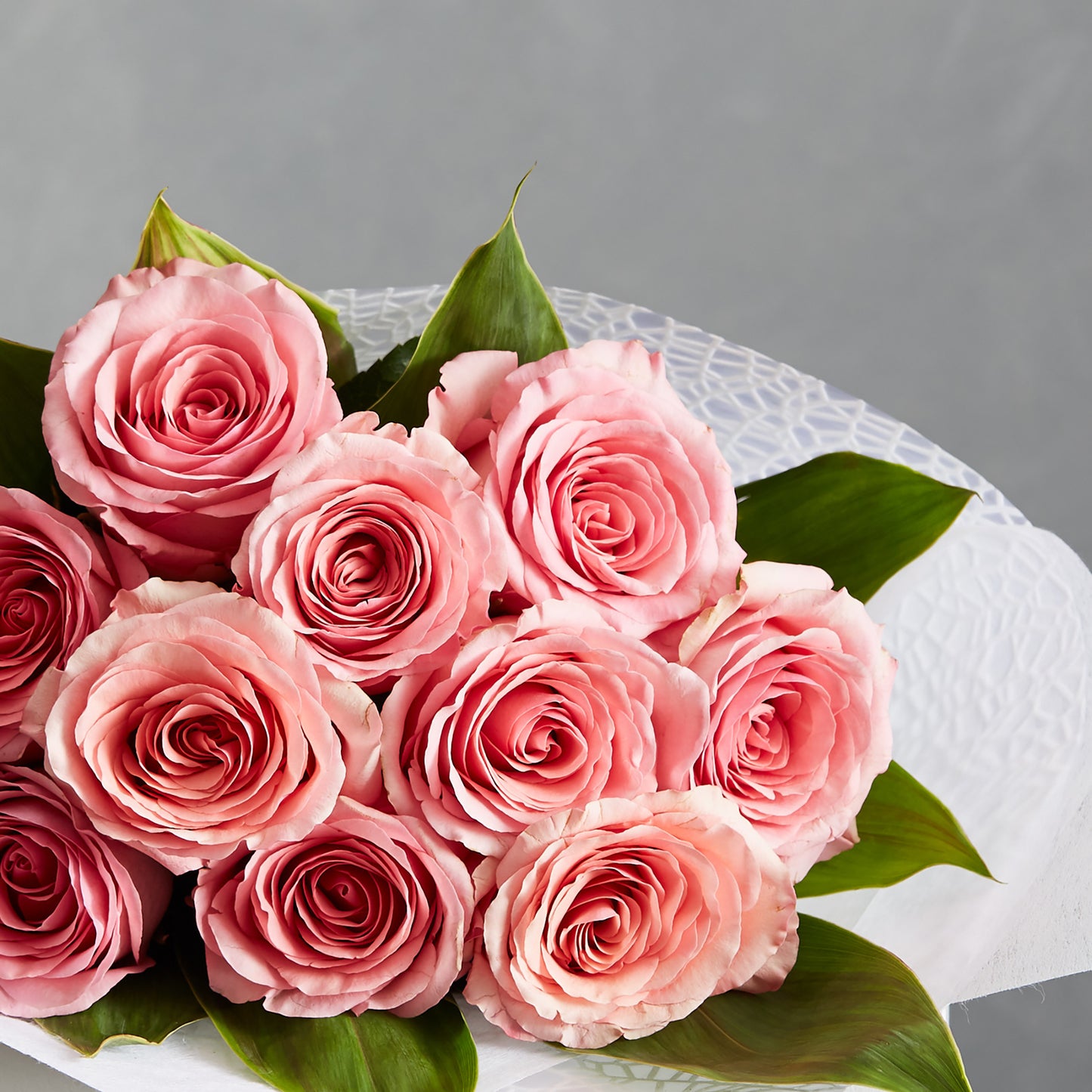 Fluffy Roses
