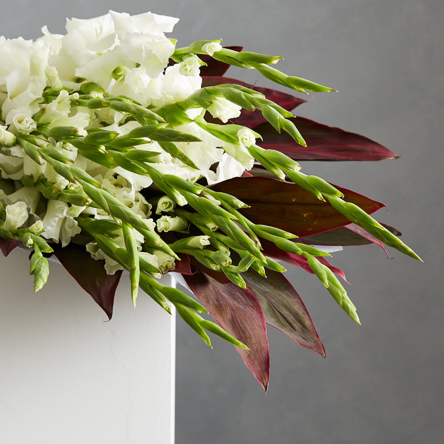 Gladiolus on Mass
