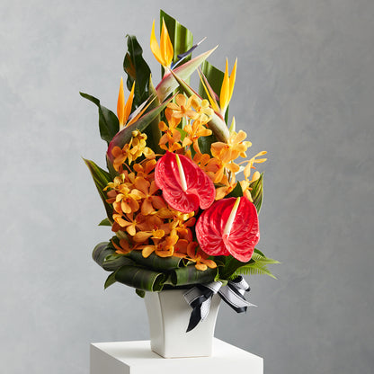 Tropical Ceramic