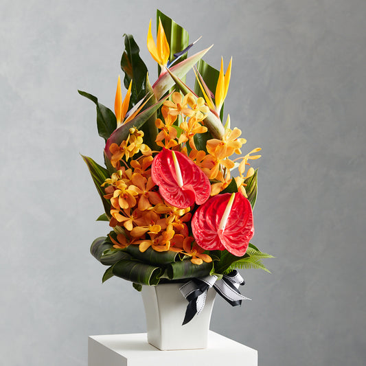 Tropical Ceramic