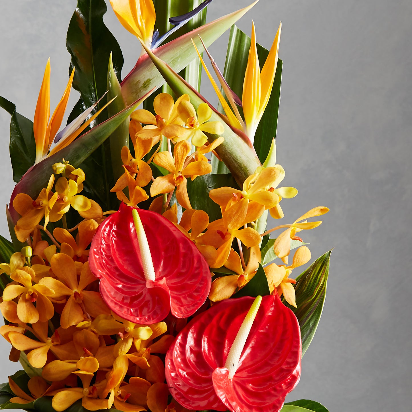 Tropical Ceramic