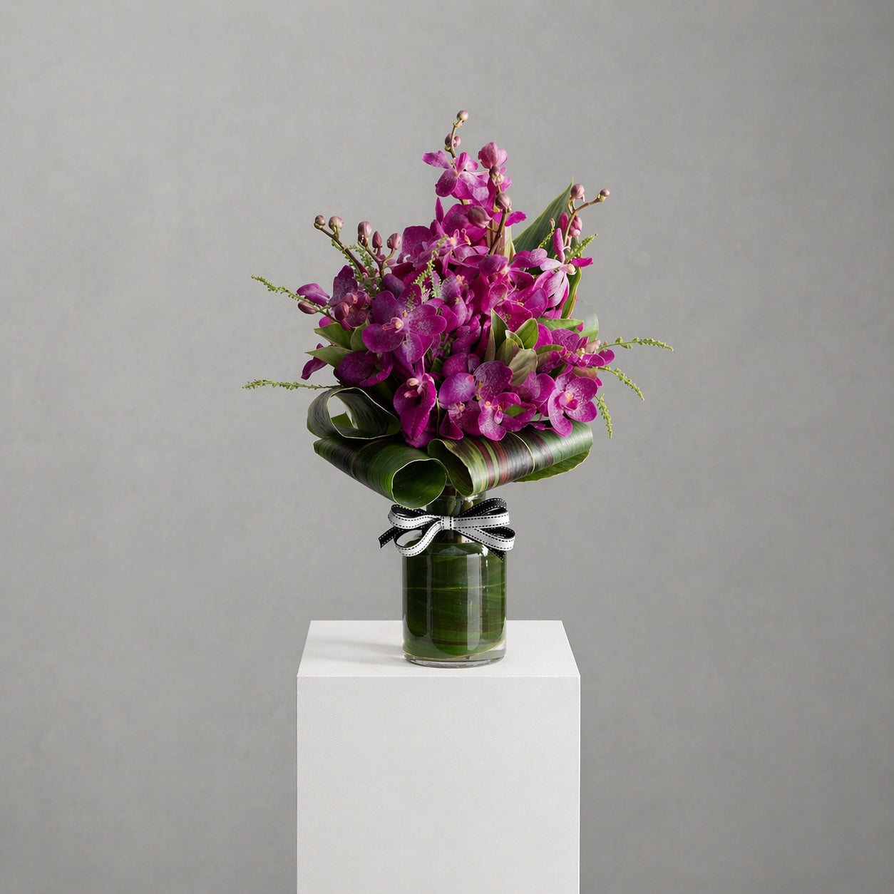Mokara Orchids