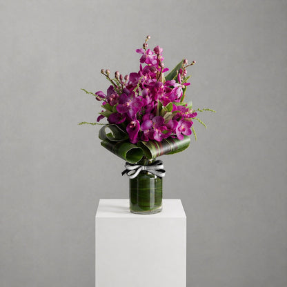 Mokara Orchids