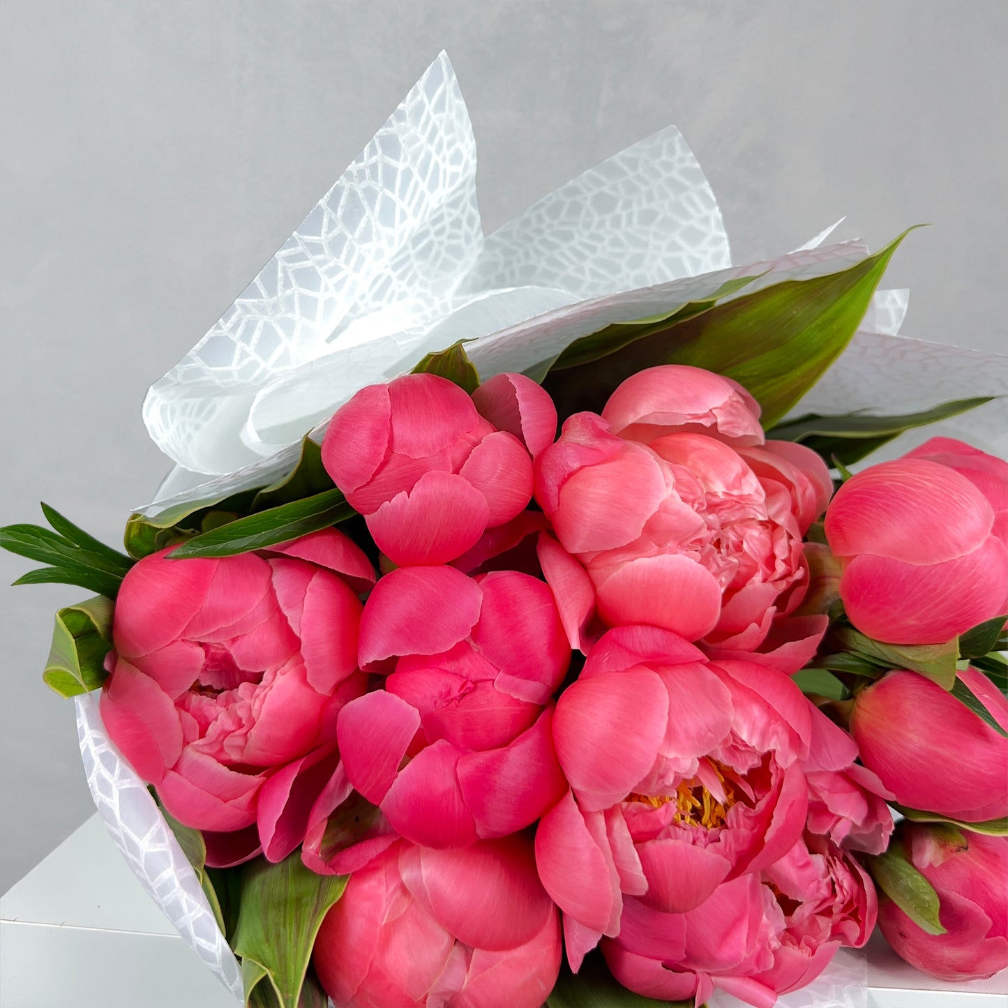 Red Peony