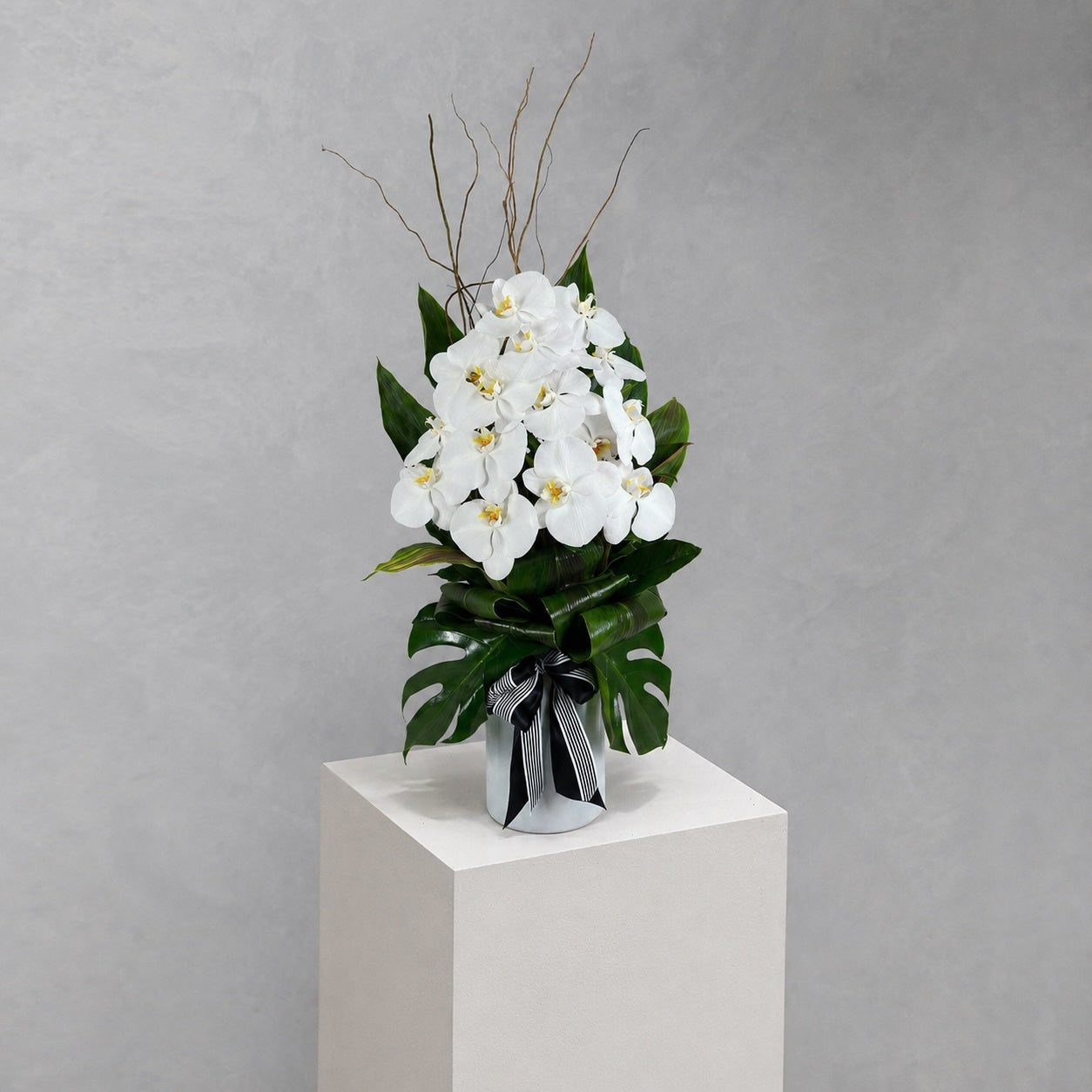 Phalaenopsis Vase