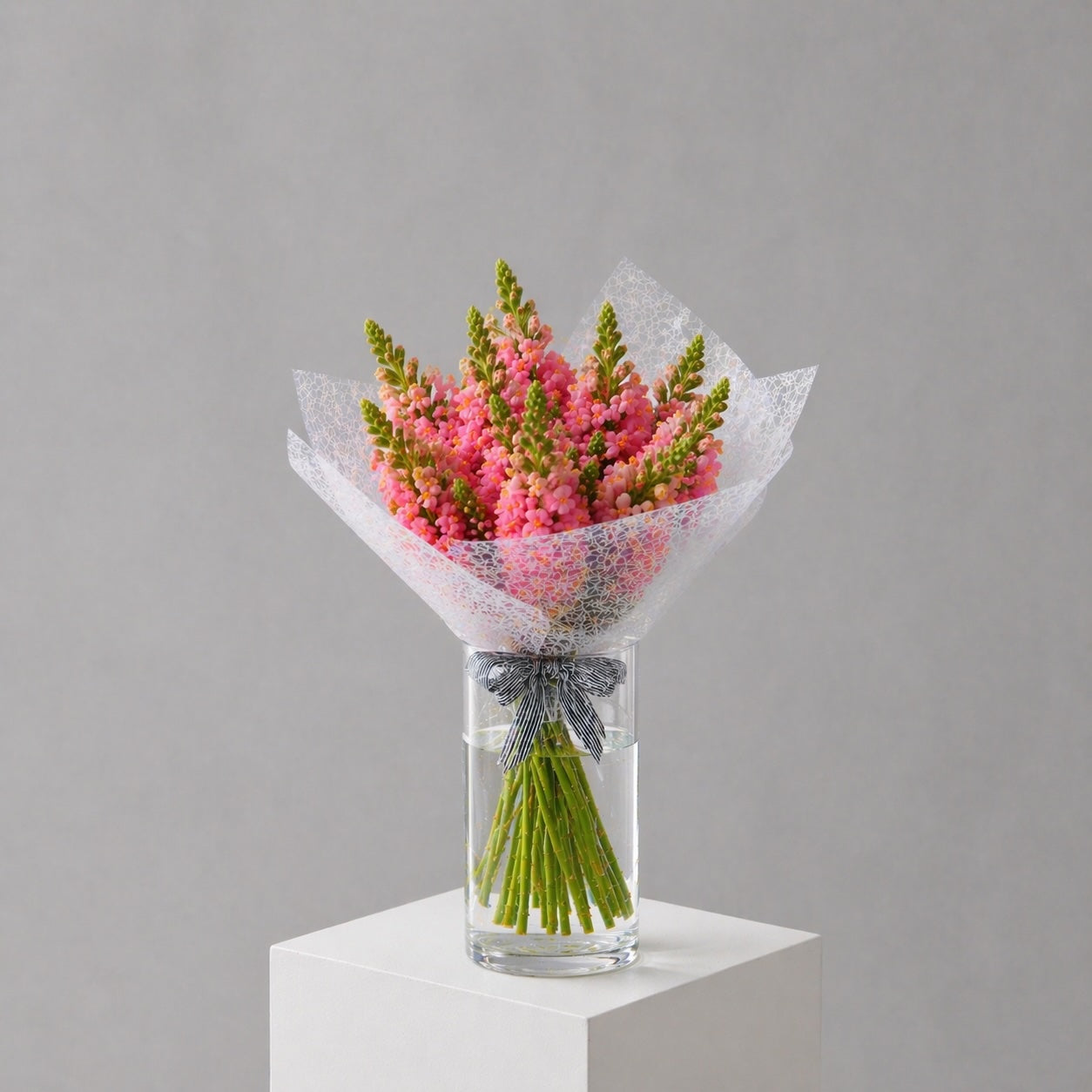 Snapdragons