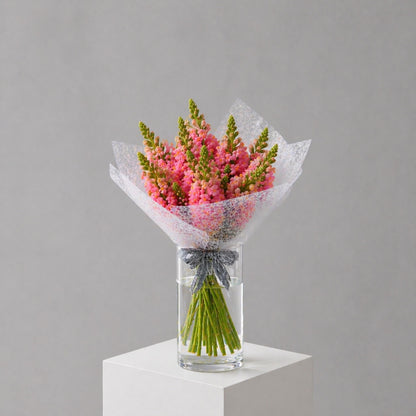 Snapdragons